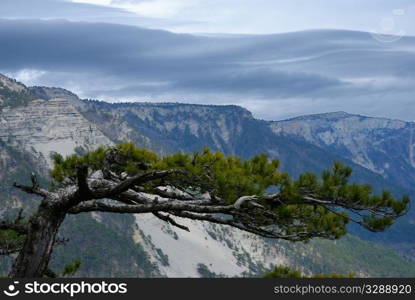 rocky nature overcast. spring landscape