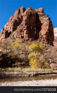 Rocky Outcrop in Zion National Park