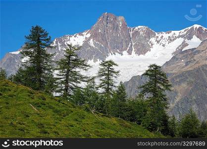 rocky peak with glaciers, Mont Blanc Massif, in foreground pine forest, sunny day; summer season.