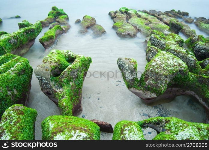 Rocky Seacoast full of green seaweed, long time exposure, Taiwan, East Asia