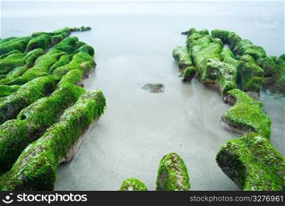 Rocky Seacoast full of green seaweed, long time exposure, Taiwan, East Asia