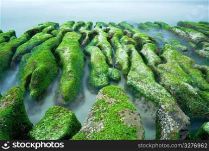 Rocky Seashore with fresh seaweed, long time exposure, Taiwan, East Asia