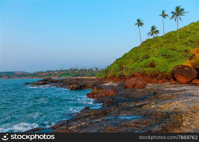 rocky shore and coconut palms. tropical beach