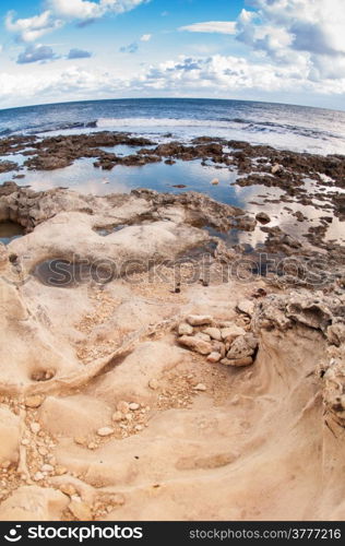 Rocky shore at low tide. Closeup.