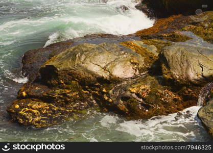 Rocky shore. View of the rugged Atlantic rocky shore.