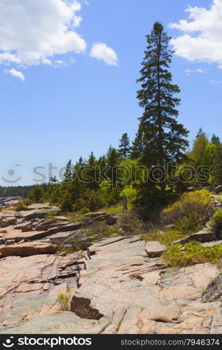 Rocky shore. View of the rugged Atlantic rocky shore.