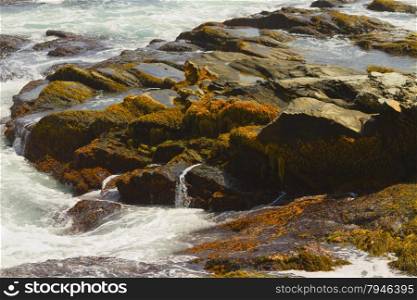 Rocky shore. View of the rugged Atlantic rocky shore.