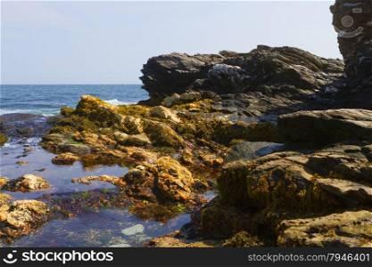 Rocky shore. View of the rugged Atlantic rocky shore.