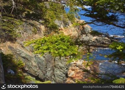 Rocky shore. View of the rugged Atlantic rocky shore.