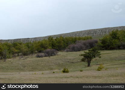 rocky spring landscape. nature