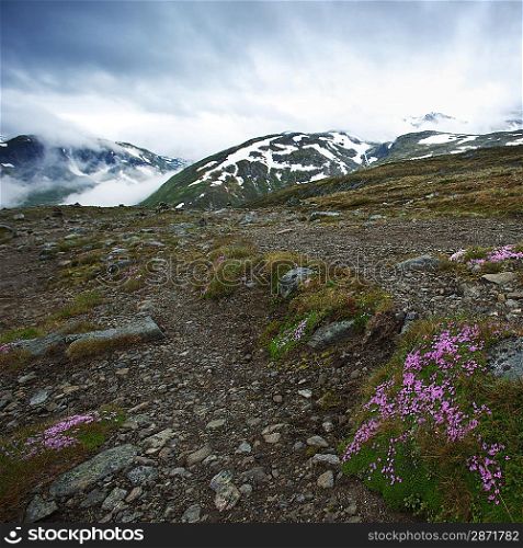 Rocky surface in norway mountains