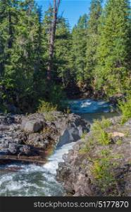 Rogue River-Siskiyou National Forest near Natural Bridge Recreation Area