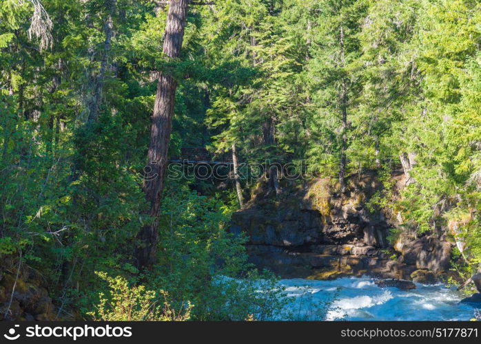 Rogue River-Siskiyou National Forest near Natural Bridge Recreation Area