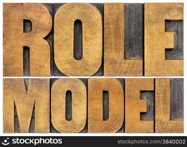 role model - leadership concept - isolated word abstract in letterpress wood type