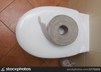 Roll of bathroom tissue. Toilet paper on a toilet bowl.
