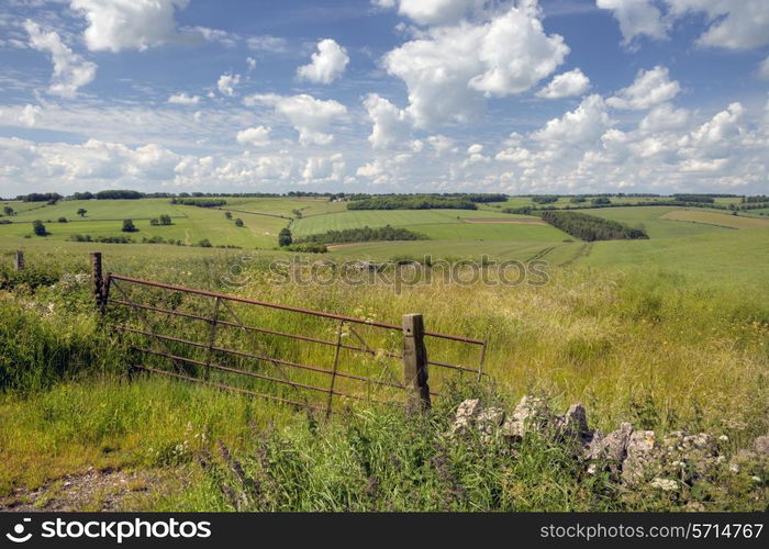 Rolling downs landscape with farm gate, Cotswolds, England.