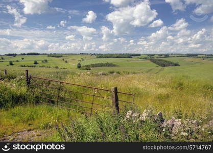 Rolling downs landscape with farm gate, Cotswolds, England.