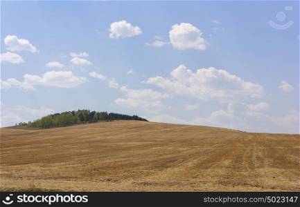Rolling Farm Hills of Wheat Crop Fields on Sunny Summer Day. Rolling Farm Hills of Wheat Crop Fields on Sunny Summer Day.