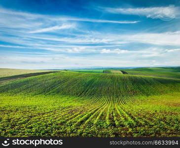 Rolling fields of Moravia, Czech Republic. Rolling fields of Moravia