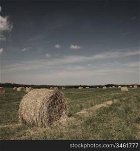 Rolling haystack on summer field