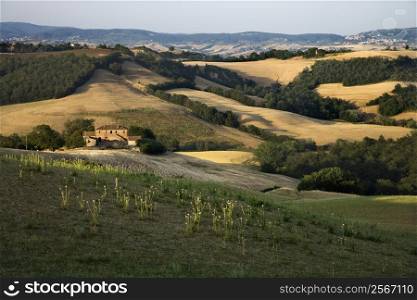 Rolling hills and building in countryside in Tuscany, Italy.
