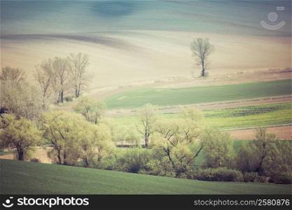 Rolling hills and green grass spring fields