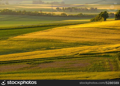 Rolling hills on sunset. Rural landscape. Green fields and farmlands, fresh vibrant colors, at Rhine Valley (Rhine Gorge) in Germany