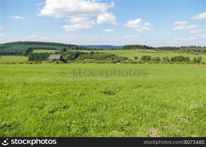 Rolling landscape with meadows and pine trees.