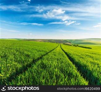 Rolling summer landscape with green grass field under blue sky. Rolling summer landscape