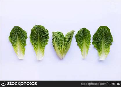 Romaine lettuce salad leaves on white background.