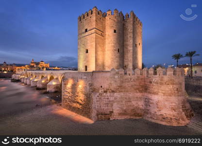 Roman Bridge and Cordoba Skyline in the Evening, Andalusia, Spain