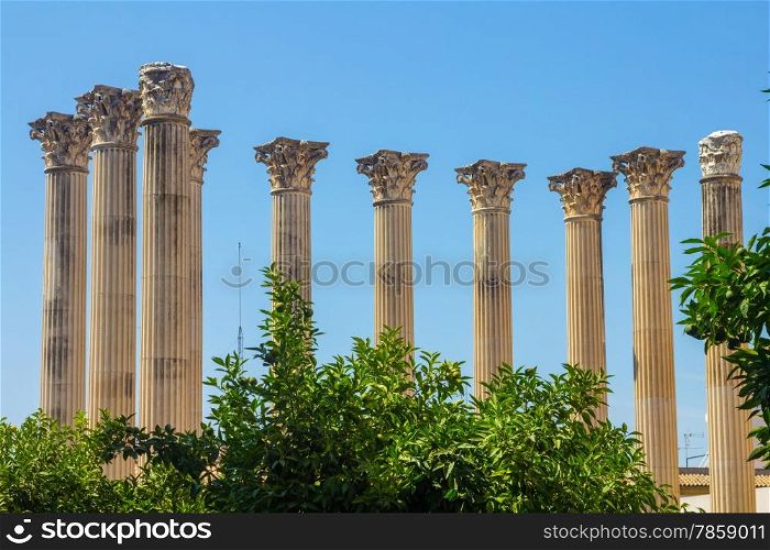 Roman columns of the second century before Christ in Cordoba, Spain