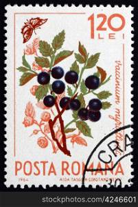 ROMANIA - CIRCA 1964: a stamp printed in the Romania shows Wild Blueberries, Vaccinium Myrtillus, European Blueberry, Natural Fruit, circa 1964