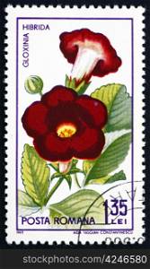 ROMANIA - CIRCA 1965: a stamp printed in the Romania shows Gloxinia Hibrida, Sinningia Speciosa, Plant, circa 1965