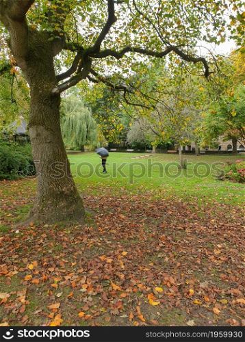 Romantic autumn scene of fallen leaves, trees and a girl holding an umbrella in the distance in a park in Pudsey, Leeds, United Kingdom