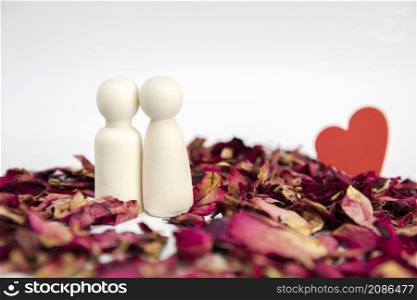 Romantic couple in love. standing on rose petals isolated on white background copy space, boyfriend and girlfriend, Valentines Day, Wedding concept space for text. Romantic couple in love. standing on rose petals isolated on white background copy space, boyfriend and girlfriend, Valentines Day, Wedding concept