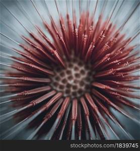 romantic dandelion flower seed, abstract background