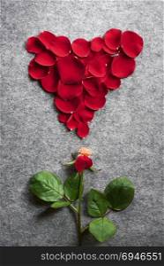 Romantic image with a single rose with one petal on its stem and the others above it in a shape of a red heart, on a vintage grey fabric background.