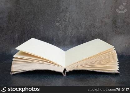 Romantic retro vintage open book with blank pages with copy space
