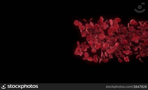 Romantic rose petals heart on black background- Alpha masked