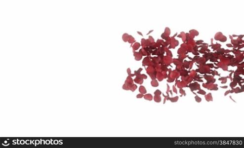 Romantic rose petals heart on white background- Alpha masked