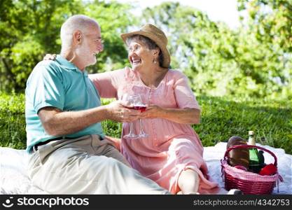 Romantic senior couple giving a toast on an outdoor picnic.