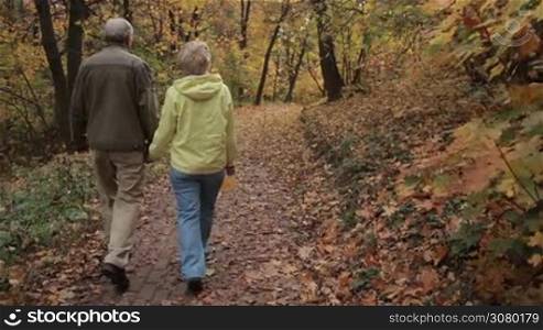 Romantic senior couple walking hand in hand through golden autumn park. Back view. Happy mature couple in love relaxing on fresh air taking a walk on park alley covered with yellow fallen foliage. Steadicam stabilized shot. Slow motion.
