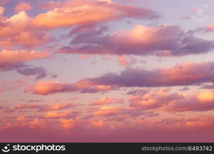 Romantic sky background, beautiful fluffy pink clouds, amazing view on the dramatic sunset sky, natural textured wallpaper, vanilla sky. Romantic sky