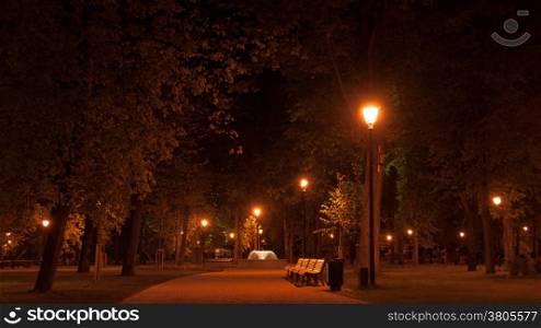 Romantic travel in Vilnius park in night
