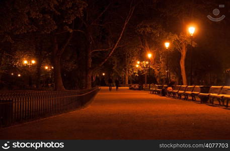 Romantic travel in Vilnius park in night