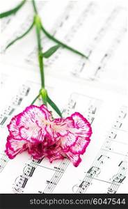 Romatic concept - red carnations flower on musical notes page