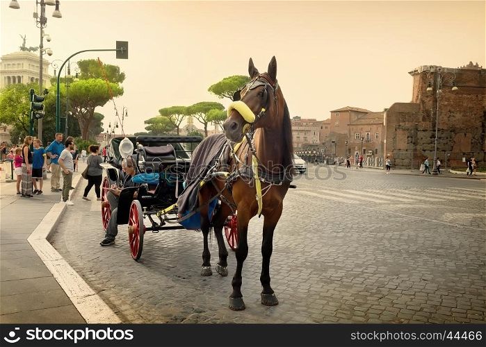 Rome, Italy - June 16, 2016. Horse on via dei Fori Imperiali in Rome with the view on Vittoriano