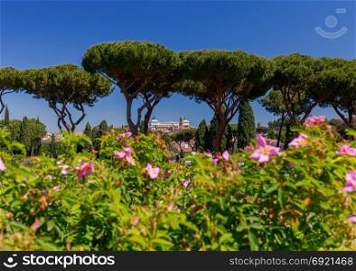 Rome. View of the city from the Aventine hill.. Aerial view of Rome from top of the Aventine hill on a sunny day.