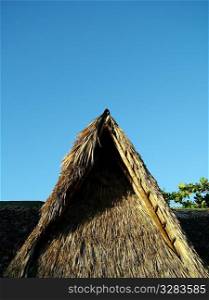 Roof of a tropical hut.